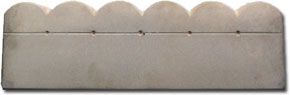 Sand Dollar