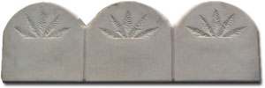 Sand Dollar