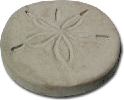 Sand Dollar